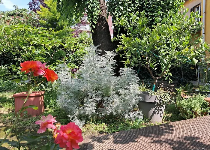 Room With A Garden